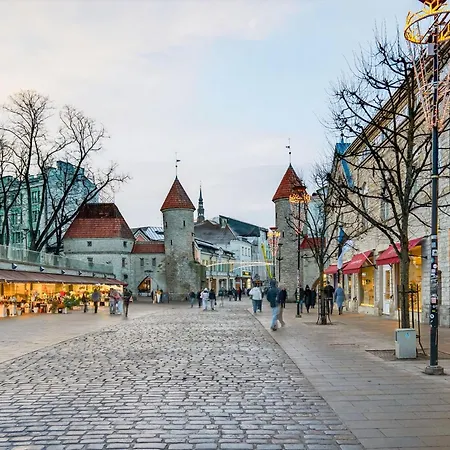 アパート Designer Urban Retreat, Near Old Town, Wifi 100mbs, Smart Tv タリン
