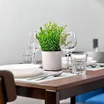 Apartman Designer Urban Retreat, Near Old Town, Wifi 100mbs, Smart Tv *